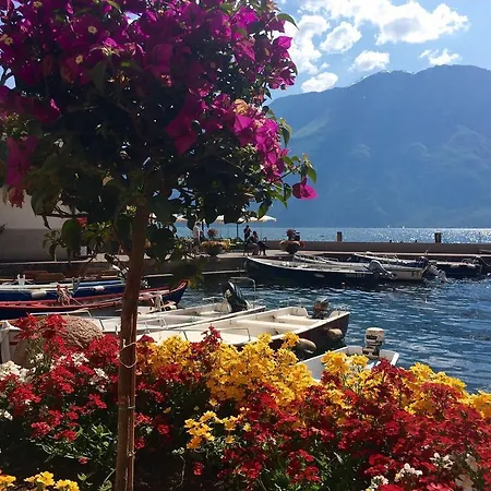 Casa Limone Guest house