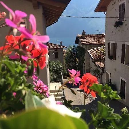 Guest house Casa Limone *