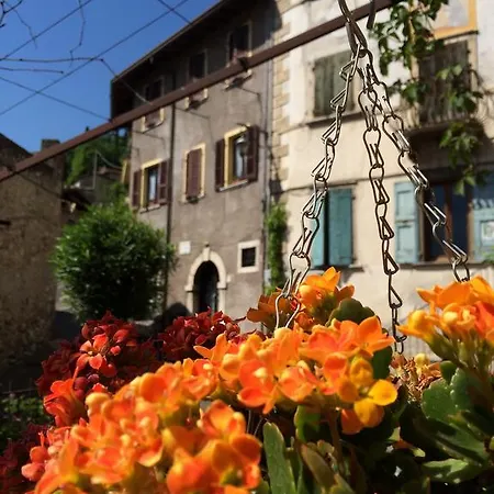 Casa Limone Guest house