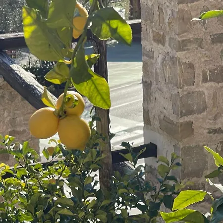 Casa Limone リモーネ・スル・ガルダ